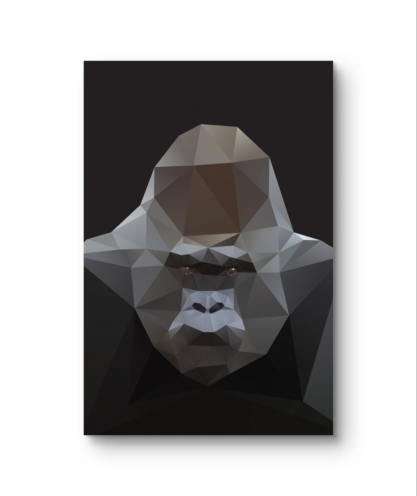 GORILLA - DIBOND - 120X80 CM